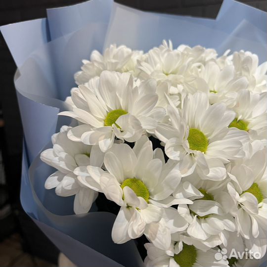 Букет из хризантем