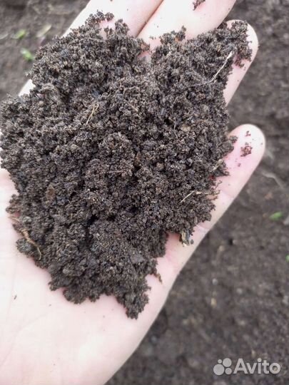 Перегной и навоз