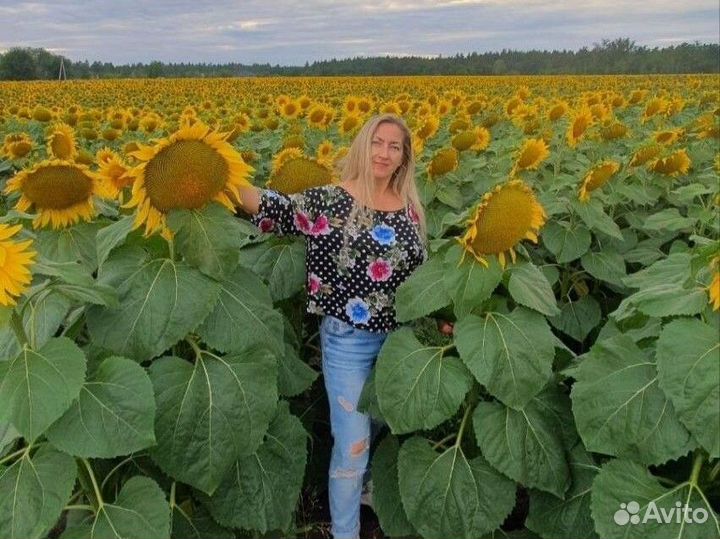 Клининг, уборка квартир и домов