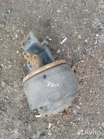 Пневморессора Volvo 6607NP01 в сборе