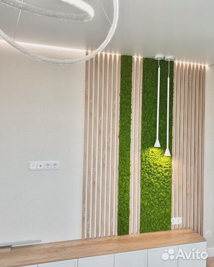 Декор из мха, панели из мха, озеленение