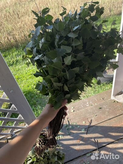 Березовые веники