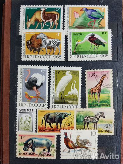 Марки СССР, гдр, Вьетнам, Польша, РФ