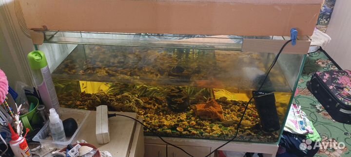 Аквариум с тумбой