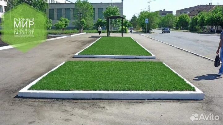 Рулонный газон