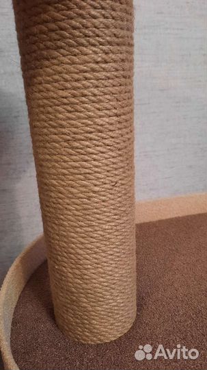 Дом когтеточка