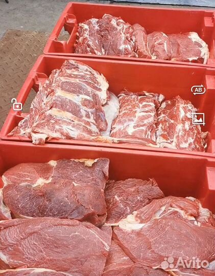 Мясо халяль безсорт
