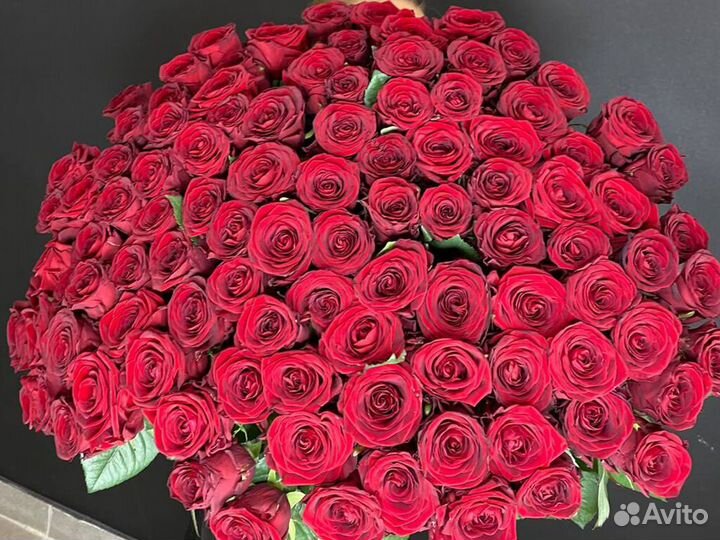101 Роза Красные розы букет роз Цветы