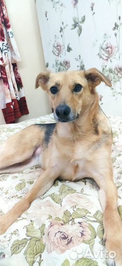 Помогите спасти