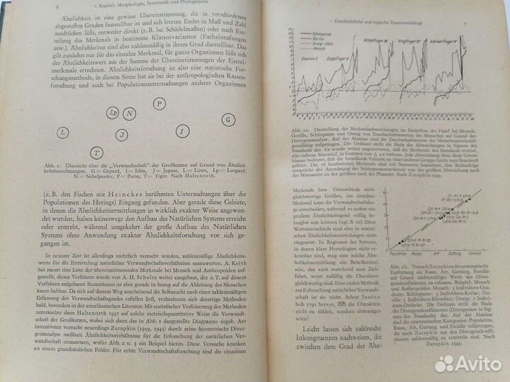 Книга Dr. adolf remane 1956 г