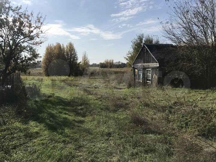 Участок 40 сот. (ИЖС)