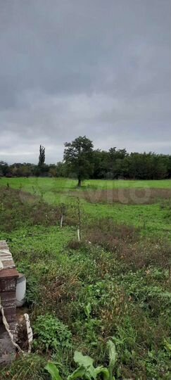 Дача 33 м² на участке 1,5 га