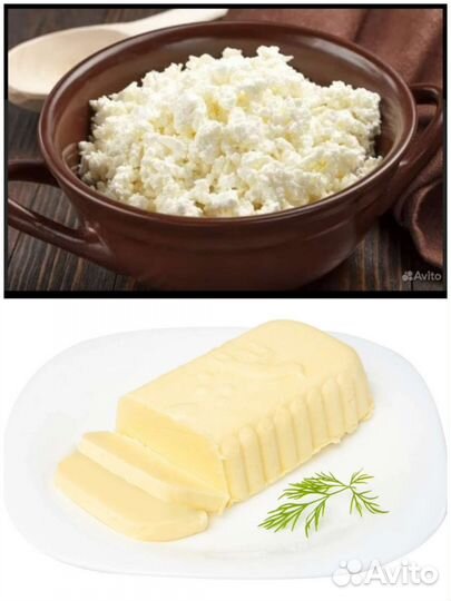Сливочное масло. Творог. Сливки. Сметана