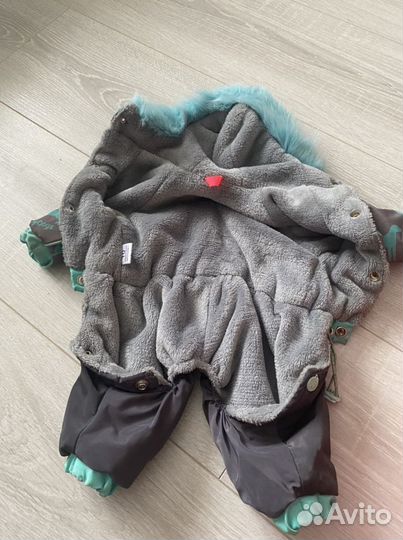 Одежда для собак