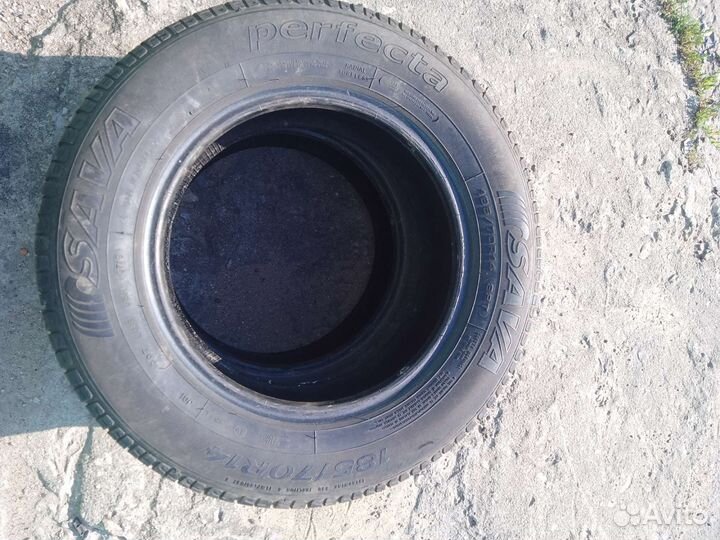 Sava Perfecta 185/70 R14