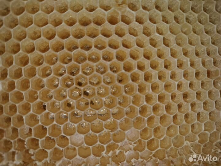 Полурамки для пчёл с сушью