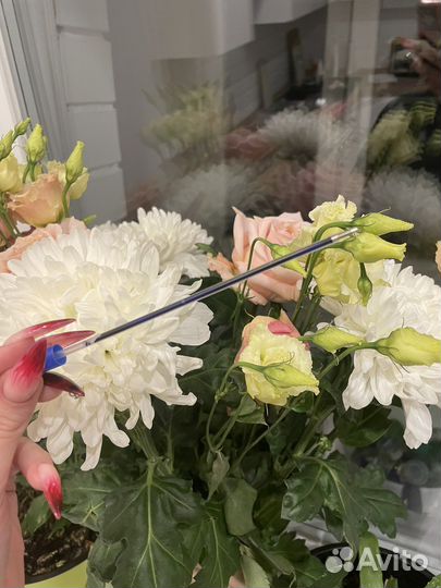 Канцелярия