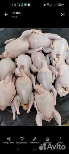 Мясо перепела