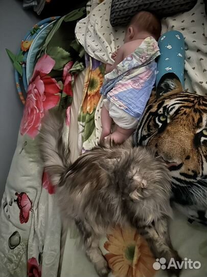 Кокон-пеленка swaddleme summer infant новый 0-3 м