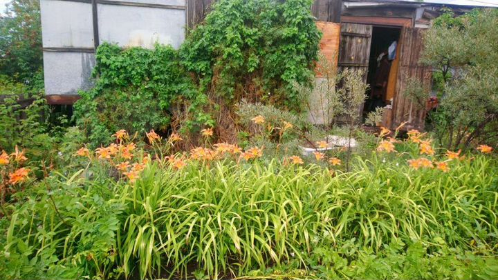 Дача 20 м² на участке 3 сот.