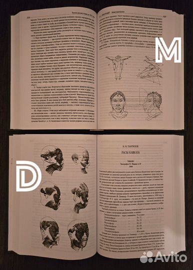 Расовая теория