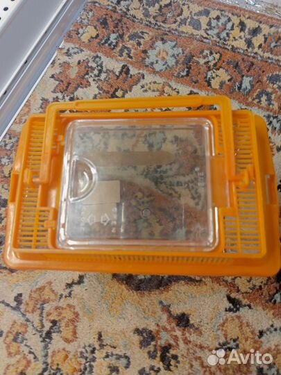 Террариум переноска