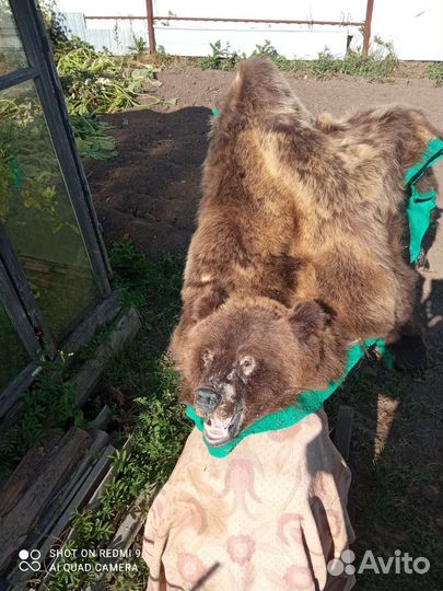 Шкура медведя имитация