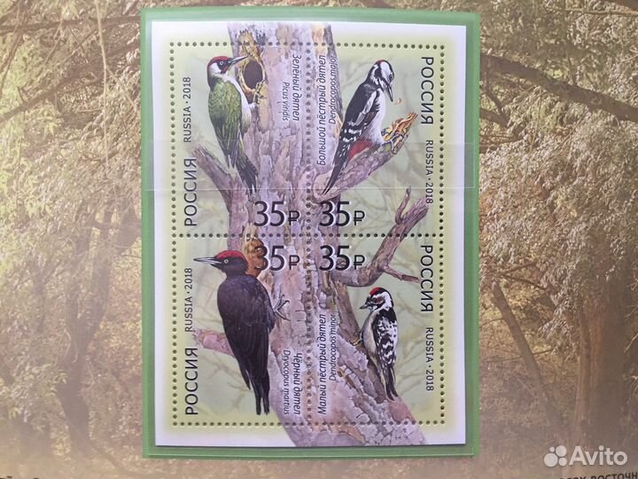 Сувенирный набор Фауна Птицы Дятлы (виньетка)