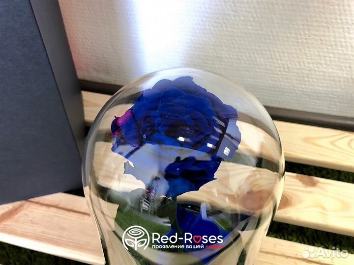 Вечная роза 23 см