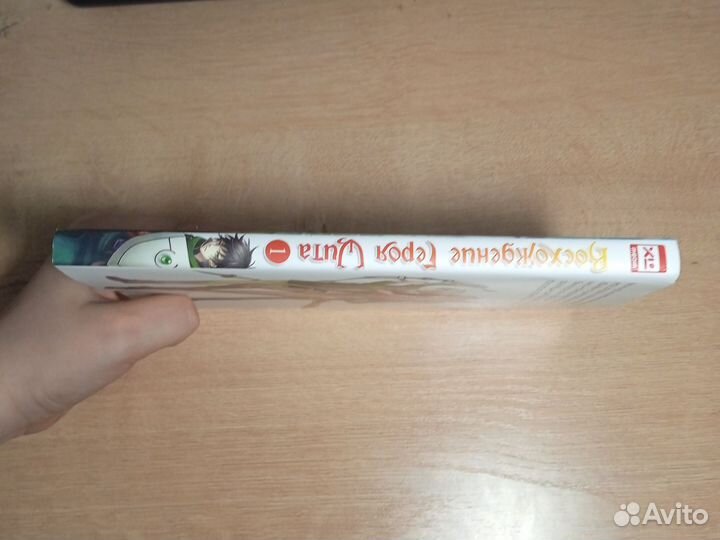 Манга Восхождение героя щита Автор Кю Айя