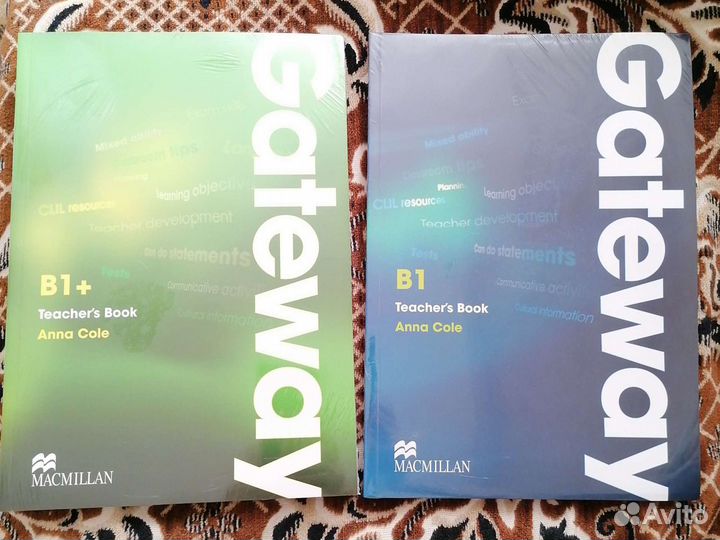 Gateway b1 b1+ teachers