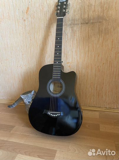 Гитара (без котенка)