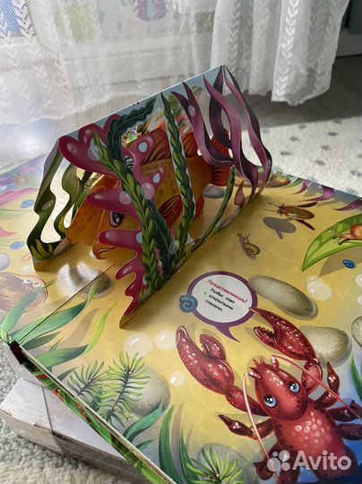 Книга-панорама