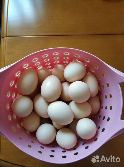 Домашние куриные яйца