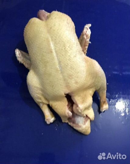 Мясо утки мулард