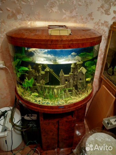 Аквариум панарама jebo