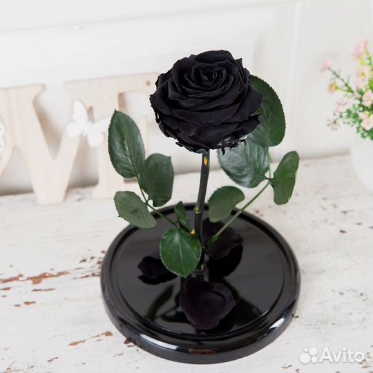Роза в колбе качественная