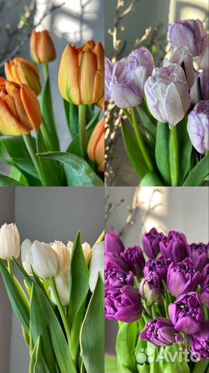Зефирные тюльпаны. Красивые тюльпаны 8 марта