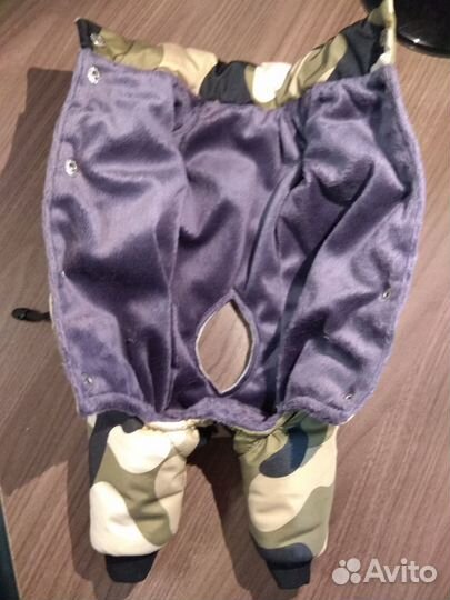 Костюм утепленный для маленькой собачки