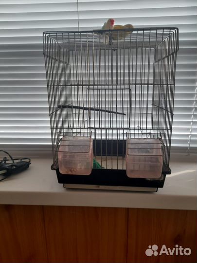 Клетка для птиц бу