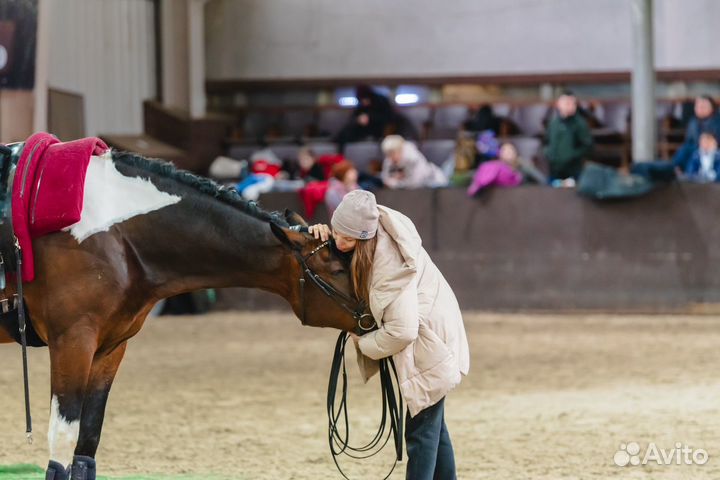 Аренда лошади