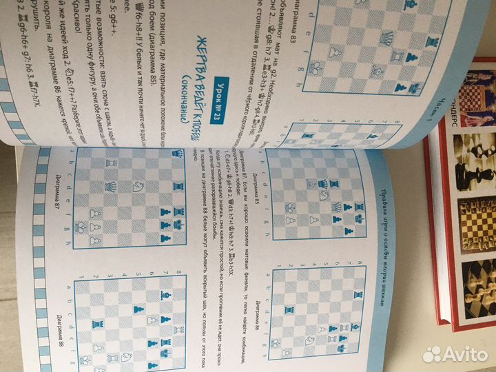 Самоучитель шахмат для начинающих, Авербах