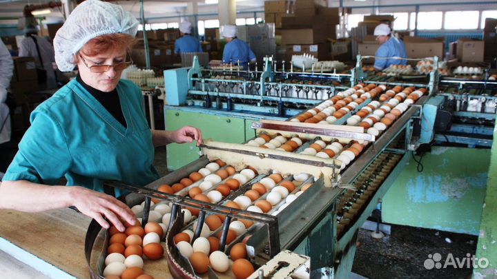 Разнорабочие с ежедневной оплатой(пищевое пр-во)