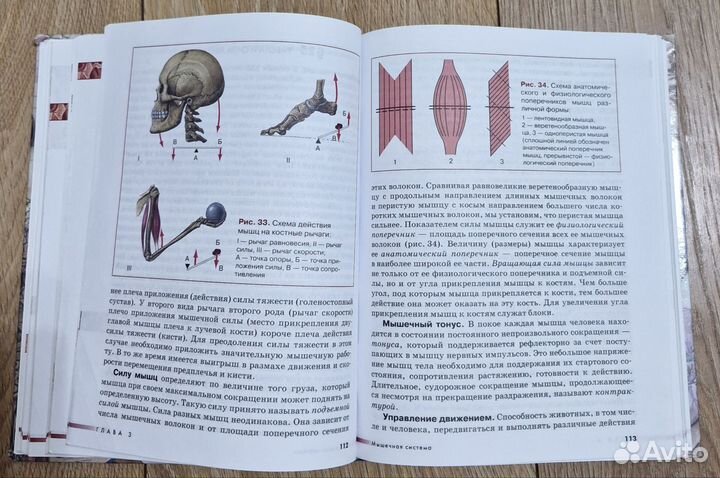 Учебник по биологии 8 класс, Сапин,Сивоглазов