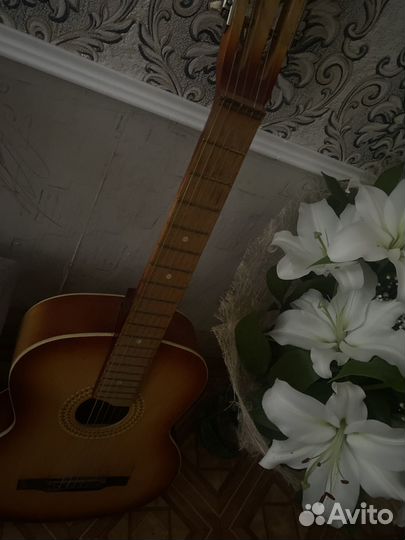 Гитара