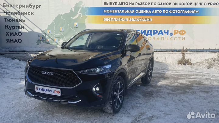 Накладка стекла переднего правого Haval F7x 2