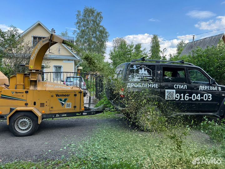 Расчистка участка, спил деревьев, дробление пней