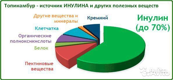 Топинамбур на посадку