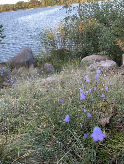 Участок 5 сот. (СНТ, ДНП)