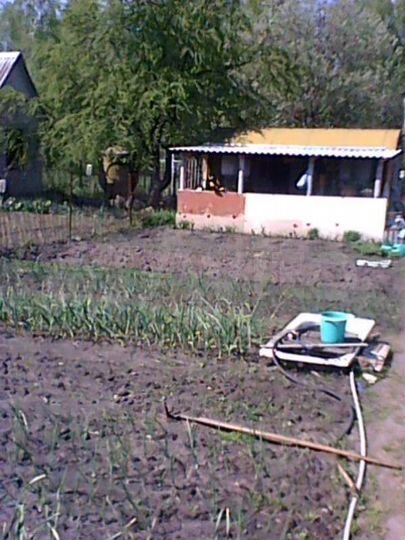 Участок 7,2 сот. (СНТ, ДНП)